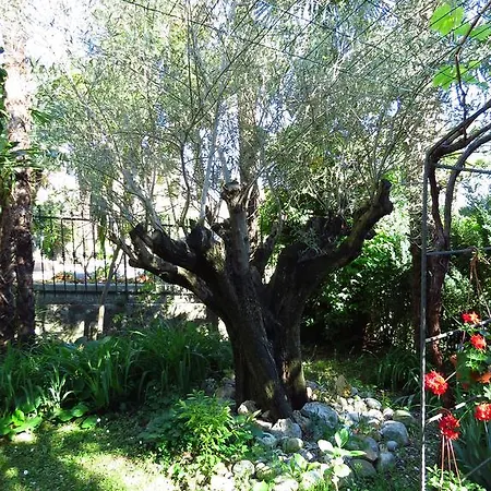 Lägenhet Dante Alighieri *